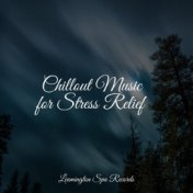 Chillout Music for Stress Relief