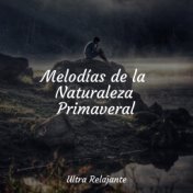 Melodías de la Naturaleza Primaveral