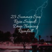 25 Summer Spa Rain Sounds: Deep Training Rainfall