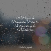 40 Piezas de Primavera Para la Relajación y la Meditación