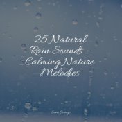 25 Natural Rain Sounds - Calming Nature Melodies