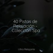 40 Pistas de Relajación - Colección Spa