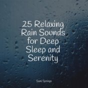 25 Relaxing Rain Sounds for Deep Sleep and Serenity