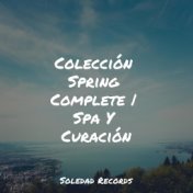 Colección Spring Complete | Spa Y Curación