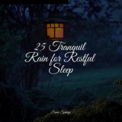 25 Tranquil Rain for Restful Sleep