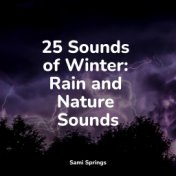 25 Sounds of Winter: Rain and Nature Sounds