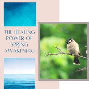 The Healing Power of Spring Awakening: Spring Equinox Nature Sounds Selection: Sea Waves, Birds and Water