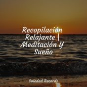 Recopilación Relajante | Meditación Y Sueño