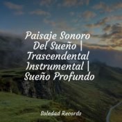 Paisaje Sonoro Del Sueño | Trascendental Instrumental | Sueño Profundo