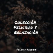 Colección Felicidad Y Relajación