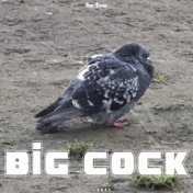Big Cock
