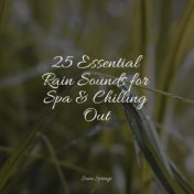 25 Essential Rain Sounds for Spa & Chilling Out