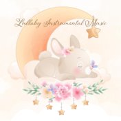 Lullaby Instrumental Music for Babies to Go to Sleep (New Age Music with Nature Sounds)