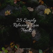 25 Simply Relaxing Rain Tracks