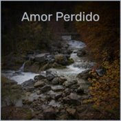 Amor Perdido