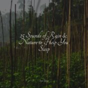 25 Sounds of Rain & Nature to Help You Sleep