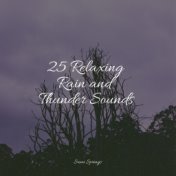 25 Relaxing Rain and Thunder Sounds