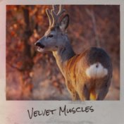 Velvet Muscles