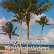 TeddyRandazzo BigWideWorld