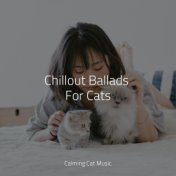 Chillout Ballads For Cats