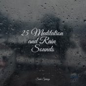 25 Meditation and Rain Sounds