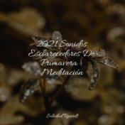 2021 Sonidos Esclarecedores De Primavera | Meditación
