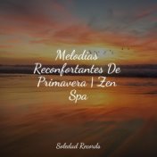 Melodías Reconfortantes De Primavera | Zen Spa