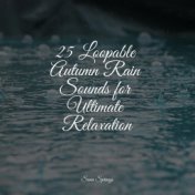 25 Loopable Autumn Rain Sounds for Ultimate Relaxation