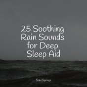 25 Soothing Rain Sounds for Deep Sleep Aid