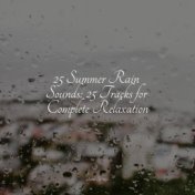 25 Summer Rain Sounds: 25 Tracks for Complete Relaxation