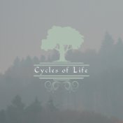 Cycles of Life (Live)