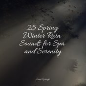 25 Spring Winter Rain Sounds for Spa and Serenity
