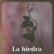 La hiedra