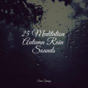 25 Meditation Autumn Rain Sounds