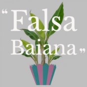Falsa Baiana