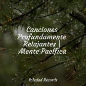 Canciones Profundamente Relajantes | Mente Pacífica