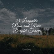 25 Loopable Rain and Rain Droplet Tracks