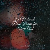 25 Natural Rain Loops for Sleep Aid