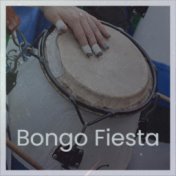 Bongo Fiesta