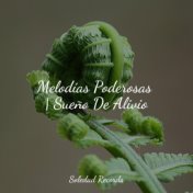 Melodías Poderosas | Sueño De Alivio