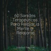 60 Sonidos Terapéuticos Para Relajar la Mente y Relajarse