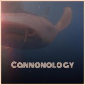 Cannonology