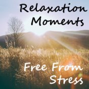 Relaxation Moments Free From Stress