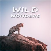 Wild Wonders