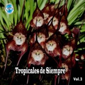 Tropicales De Siempre, Vol. 3