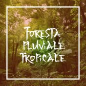 Foresta pluviale tropicale - Suoni di pioggia