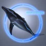 Dolphin Ultrasounds: Collection of Sounds with Healing and Relaxing Properties, Soothing Stress and Tension, Helping to Calm Dow...