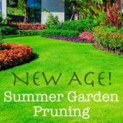 New Age! Summer Garden Pruning