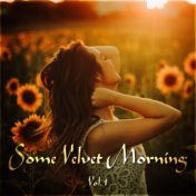 Some Velvet Morning Vol. 1