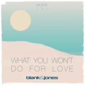 What You Won't Do for Love (Monte Remix)